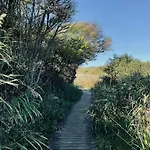 Beautiful Family In The Dunes * Bindslev