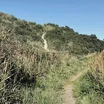 Beautiful Family In The Dunes