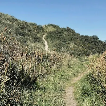 Beautiful Family In The Dunes